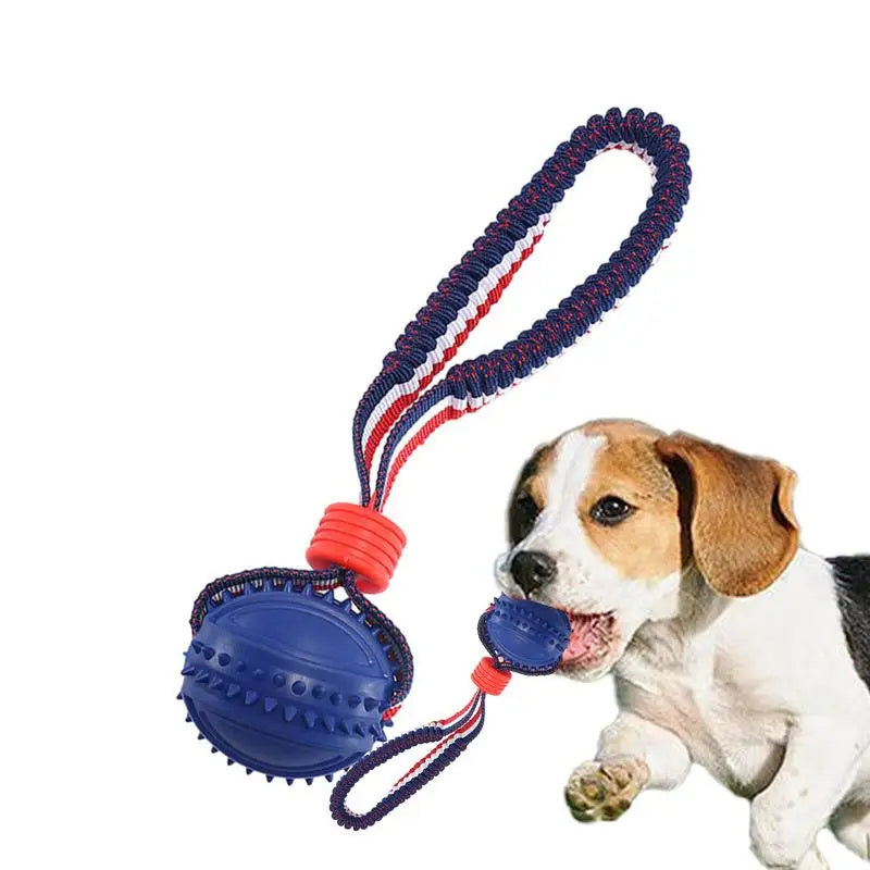Interactive Dog Ball Toy – Rope Chew & Training Toy