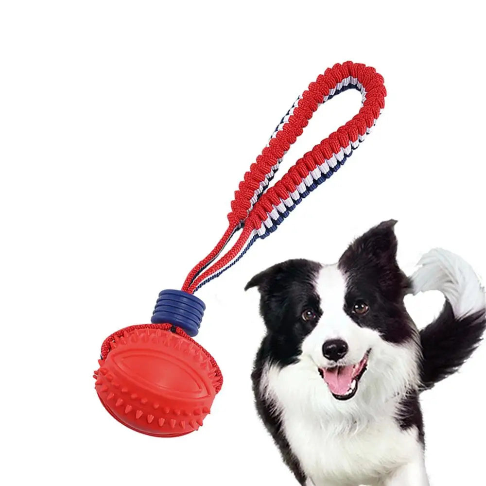 Interactive Dog Ball Toy – Rope Chew & Training Toy