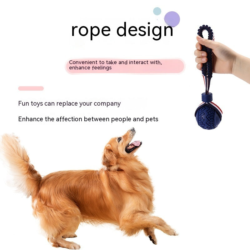 Interactive Dog Ball Toy – Rope Chew & Training Toy