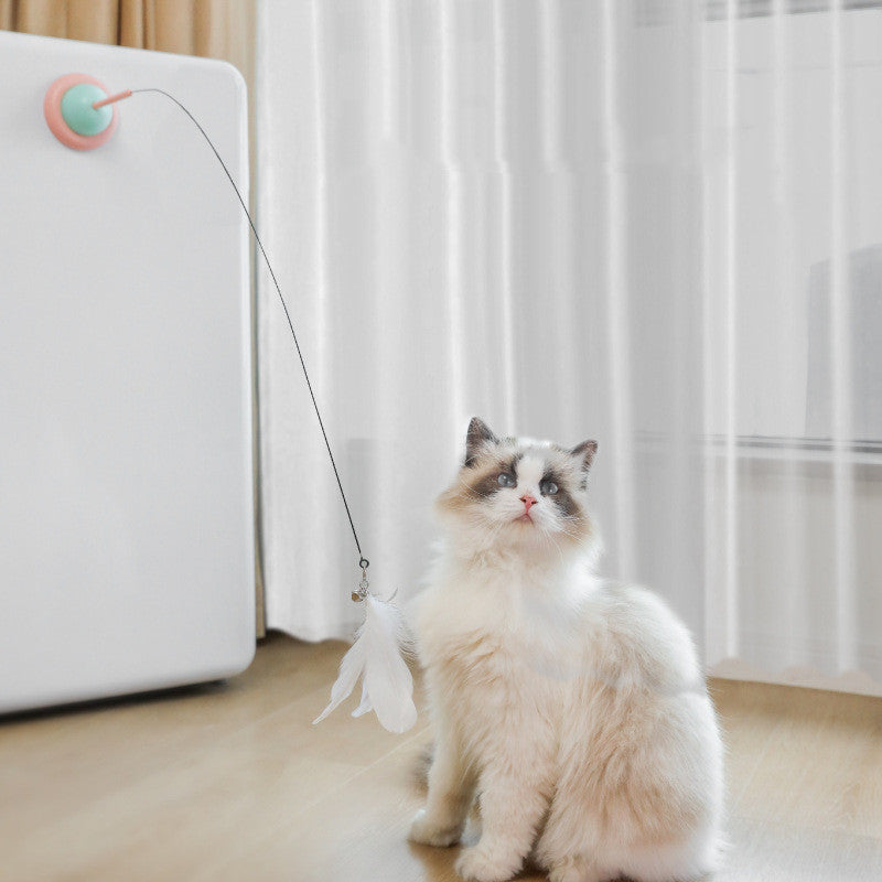 Interactive Pet Toy Set – Fun Household Play Kit