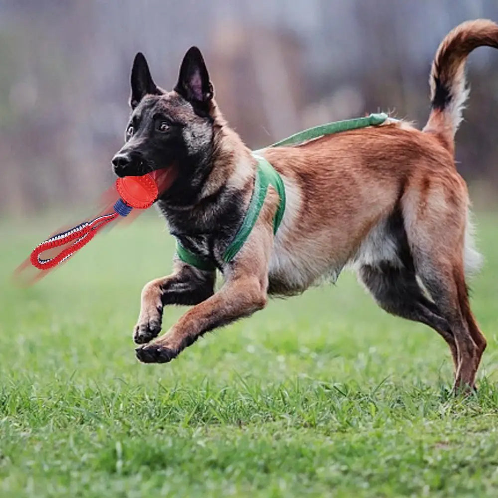 Interactive Dog Ball Toy – Rope Chew & Training Toy